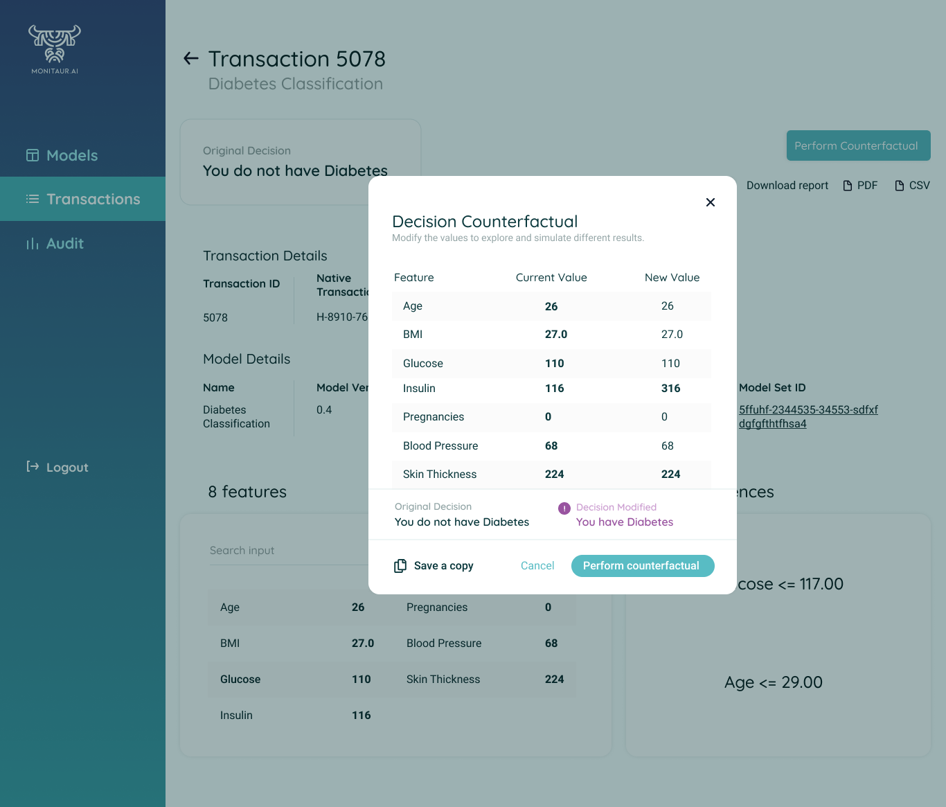 Monitaur Audit